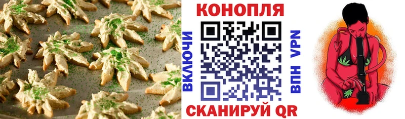 Canna-Cookies марихуана  Купить где  Медногорск 