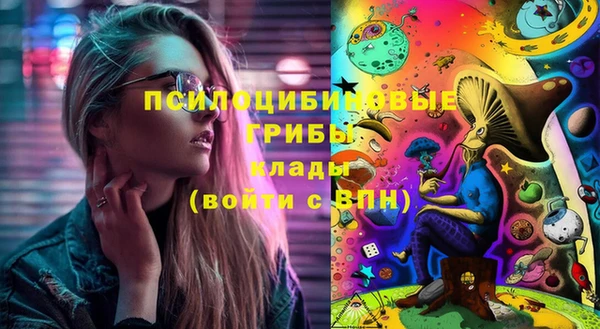 крисы Заводоуковск