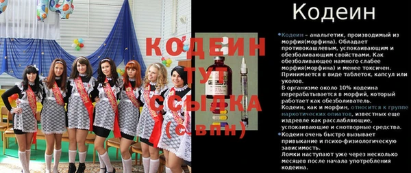 крисы Заводоуковск