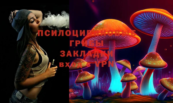 крисы Заводоуковск