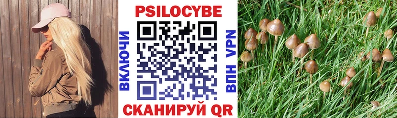 Галлюциногенные грибы Cubensis Купить где Медногорск