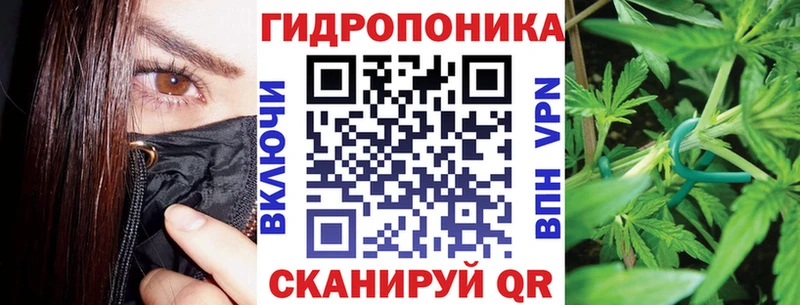 Купить  Медногорск  Конопля семена 